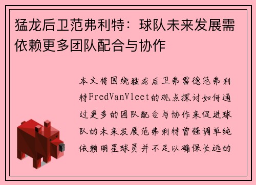 猛龙后卫范弗利特:球队未来发展需依赖更多团队配合与协作