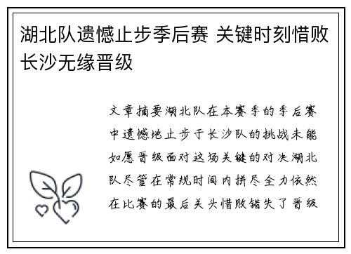湖北队遗憾止步季后赛 关键时刻惜败长沙无缘晋级